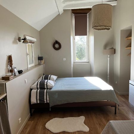 Studio Du Grand Beaumont Saint-Mélaine-sur-Aubance Esterno foto